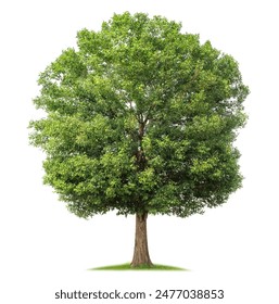 在7m体育下载中如何实现安全合规使用与账号保护技巧