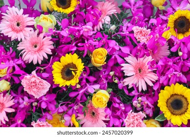 大富豪官网最新资讯与高端理财策略分享