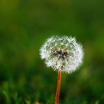 地球人彩票网址背后运营模式分析与合规性评估 kgh0yq659r