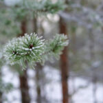 2025229期开奖结果公布最新中奖号码查询 42i3jge