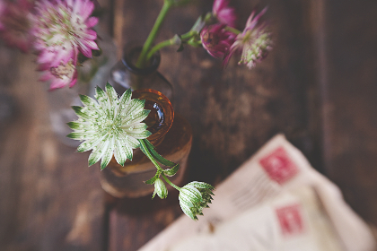 2025243期3D开奖结果最新公布,精准号码全面揭晓 2025243期3D开奖结果最新公布,精准号码全面揭晓