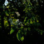 2025215期开奖结果最新公布与中奖号码查询 4e3p7m9