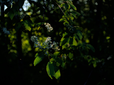 2025215期开奖结果最新公布与中奖号码查询 2025215期开奖结果最新公布与中奖号码查询