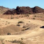 2025222期开奖结果公布最新中奖号码查询 67oo7ygm5