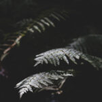 2025205期3D开奖结果查询与最新中奖号码公布 9yu9w3z