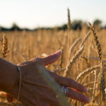 4649期今期开奖结果最新公布与详细查询 ax699ynkql