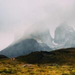 2025212期双色球开奖号码正式公布 c6c0mwg