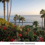 2025206期最新开奖结果查询与中奖号码公布 d1uiand1