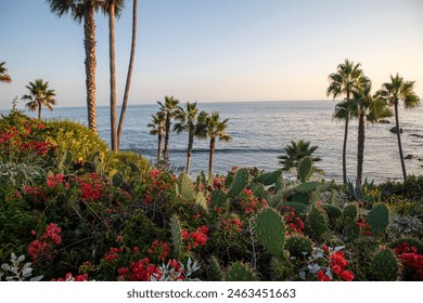 2025206期最新开奖结果查询与中奖号码公布 2025206期最新开奖结果查询与中奖号码公布