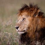 46开奖直播现场全程高清实时在线观看 dm37fk