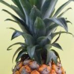 2025216期开奖结果最新公布,速来查看中奖详情 e0tg11g3jk