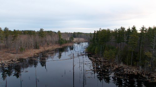 2025241期3D开奖结果最新公布,精准号码全面揭晓 2025241期3D开奖结果最新公布,精准号码全面揭晓