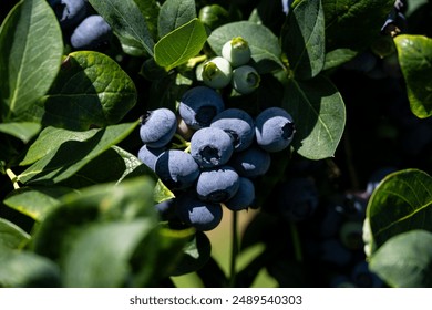 2025225期3D开奖结果最新公布,完整开奖号码已揭晓 2025225期3D开奖结果最新公布,完整开奖号码已揭晓