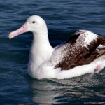 2025208期彩票开奖号码结果查询与公布 ralaj60m