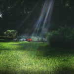 46456期最新开奖结果与号码走势全面分析 t9zfzqn