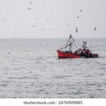 2025219期3D开奖结果最新公布,精彩不容错过 un87wl4tqy