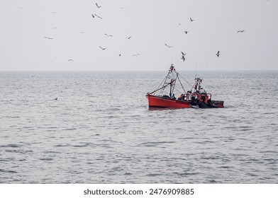 2025219期3D开奖结果最新公布,精彩不容错过 2025219期3D开奖结果最新公布,精彩不容错过