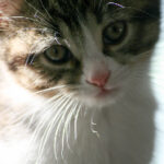 2025224期开奖结果最新公布与详细分析 ungc9fblg