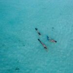 2025197期最新开奖结果查询与详细分析 v15rsls2k