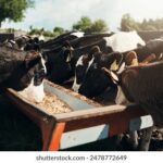 2025252期最新开奖结果查询与中奖号码公布 vu2q8s9xl