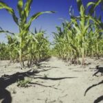 4685开奖直播现场全程高清实时在线观看 xa3c0isxv1