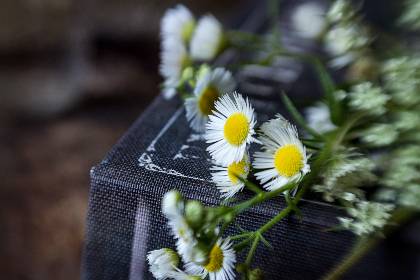 470开奖前后关联性深度解析:规律探寻与结果分析 470开奖前后关联性深度解析:规律探寻与结果分析