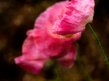 4676期开奖快报码一最新公布与结果查询 4676期开奖快报码一最新公布与结果查询